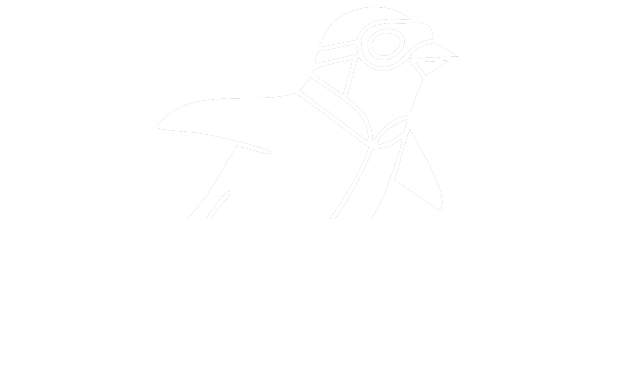 Flying Penguin Collective
